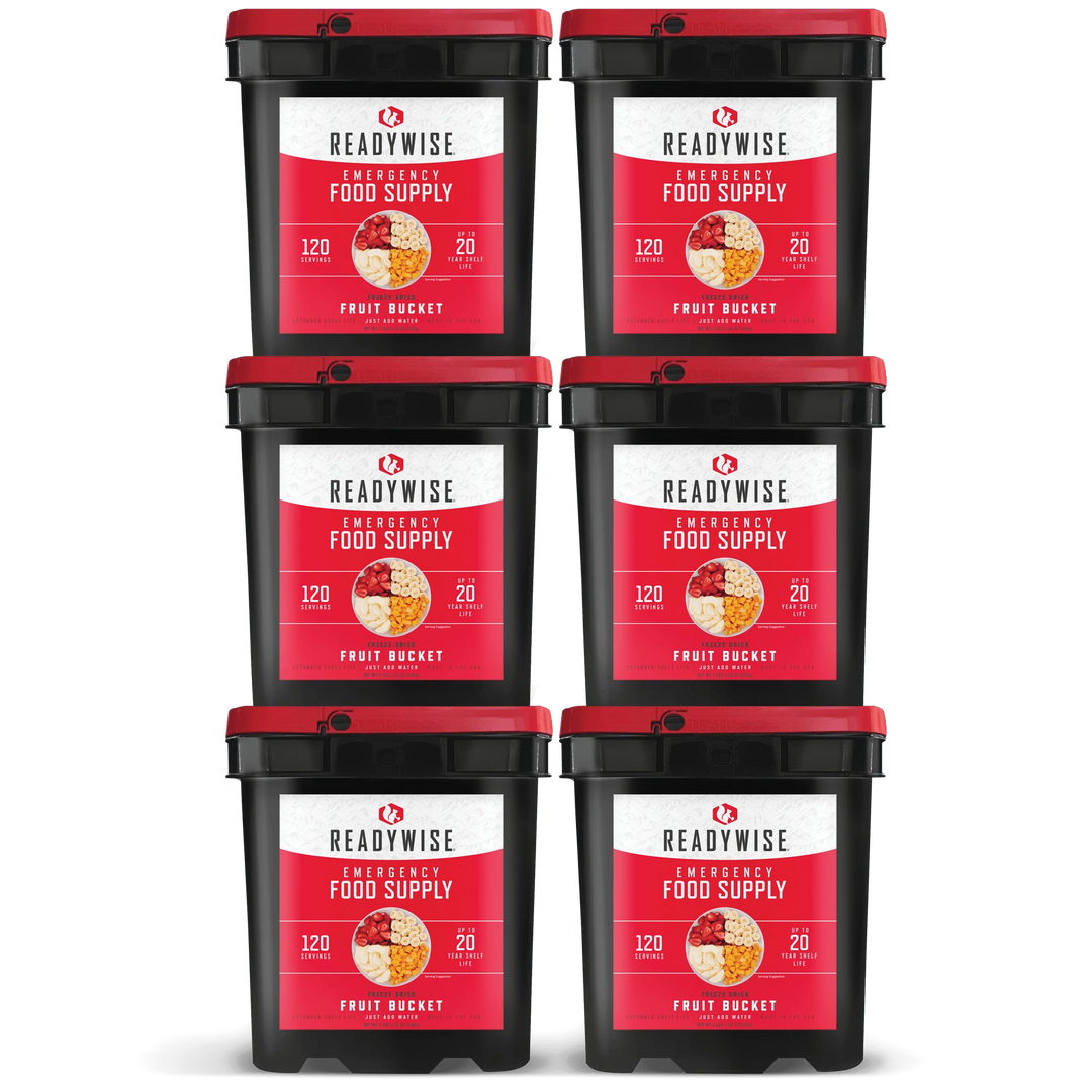 Family Freeze Dried Fruit Bucket - 120 Servings