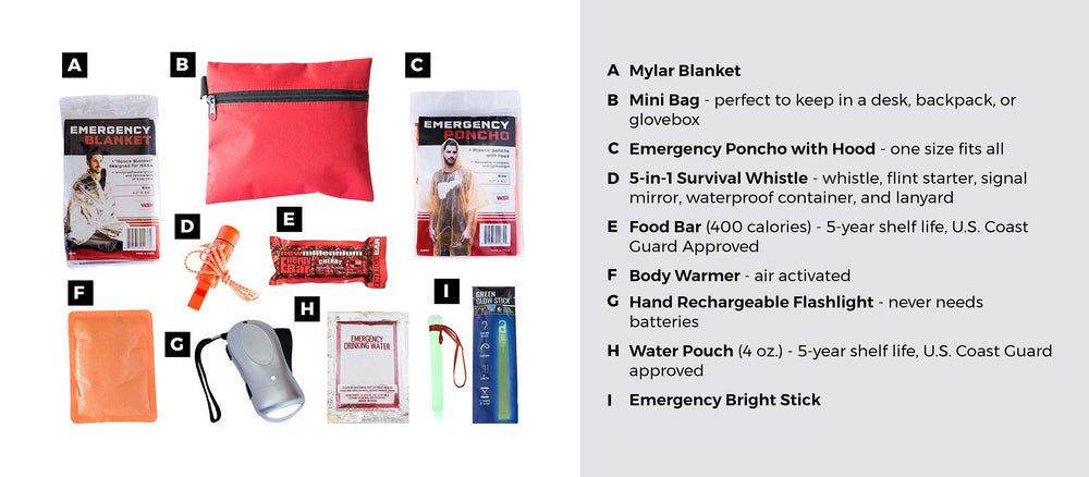 Mini Everyday Survival Kit