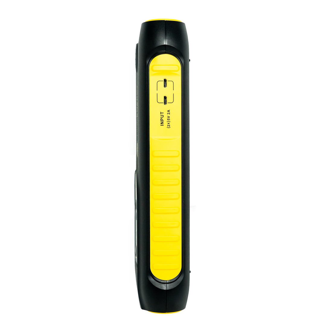 Lion Cub GO Portable Powerpack